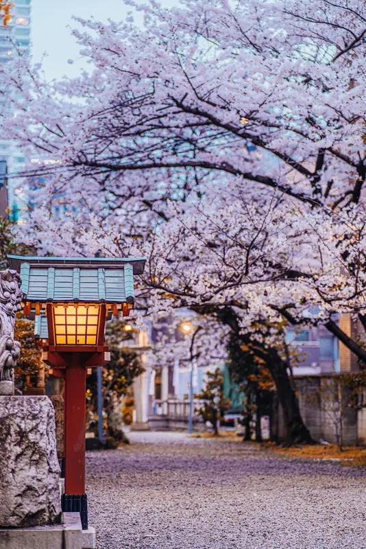 Spencer.Tokyo Premium Domain